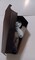 Voodoo Doll Poppet in a Coffin  Be aware Doll Will Bite product 2